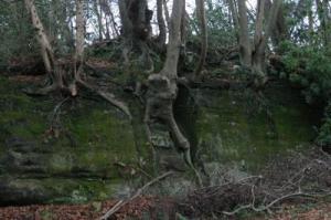 60e20e62d97062453d34936a266c3e5f