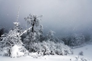 Image courtesy of FreeDigitalPhotos.net