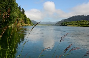 Klamath River ~ Linda Tanner