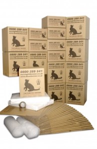 1190876238_DB5_w450_h400