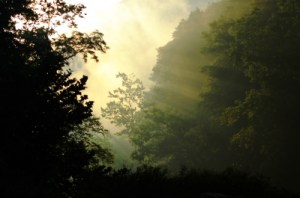 "Calm After The Storm" by Sarah Arbogast