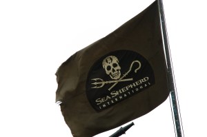 Flag of Sea Shepherd Conservation Society, an environmental action group against marine poaching and overfishing. ~ by David w ng / Wikipedia