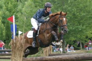 William Fox-Pitt in Eventing Grand Prix at Hickstead on Lyn How's Diamond Manati ~ by Roland Clarke
