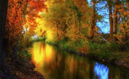 Would YOU miss&nbsp;me?