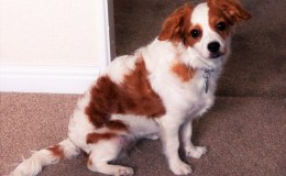 QUETZAL  2014-JUNE 17th 2023&nbsp;R.I.P.