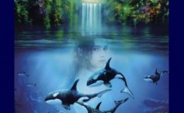 Whale Song – a&nbsp;review