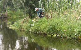 X is for&nbsp;Xochimilco