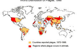 P for Plague