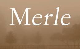 Angela Wren on tour:&nbsp;Merle