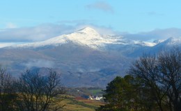 Fevered Fuse * Serialised *&nbsp;Five