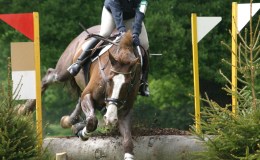 #IWSG – Creative&nbsp;Outlets