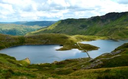 Year of the&nbsp;Jackdaw