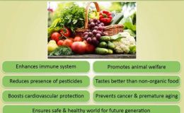 #IWSG – Trait&nbsp;Train