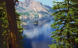 #IWSG – Word&nbsp;View