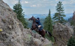 #IWSG – Expectations&nbsp;Dashed