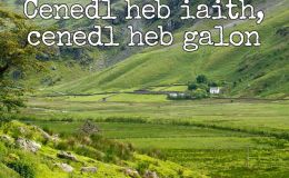 #WEP/IWSG August Challenge – Freedom of&nbsp;Speech