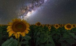 <strong>The Ongoing War in Ukraine</strong>